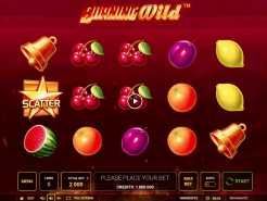 Burning Wild Slots